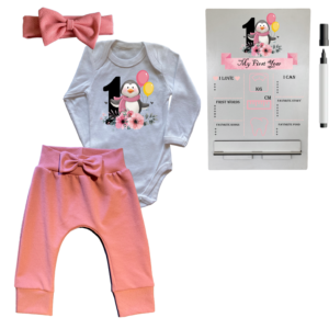 1st Birthday | Long sleeve pants, Vest & Headband | Milestone Sign | Pink | Penguin 1st
