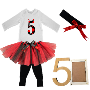 5th Birthday|Lady Bug Tutu Outfit With Headband And Photo Frame | 5