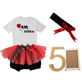 5th Birthday | Lady Bug Tutu Outfit With Headband And Photo Frame