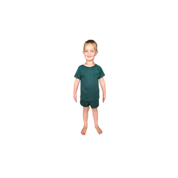 Kids | Soft & Comfy | Day & Night Play Set | T-Shirt & Shorts | Botanic Green - Image 4