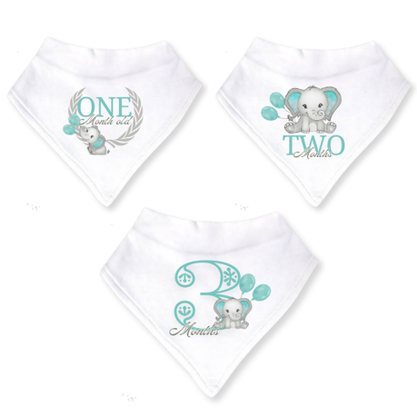 Baby 12 Month Milestone Bib Set | Gender Neutral Elephant | English----- - Image 2