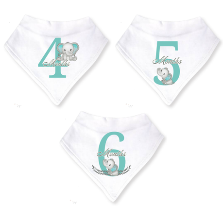 Baby 12 Month Milestone Bib Set | Gender Neutral Elephant | English----- - Image 3