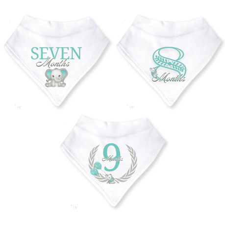 Baby 12 Month Milestone Bib Set | Gender Neutral Elephant | English----- - Image 4