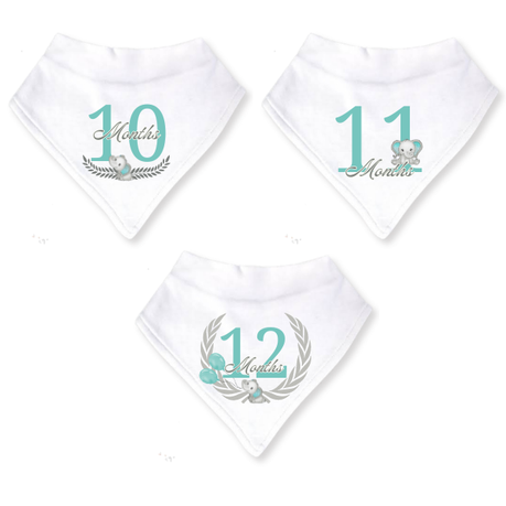 Baby 12 Month Milestone Bib Set | Gender Neutral Elephant | English----- - Image 5
