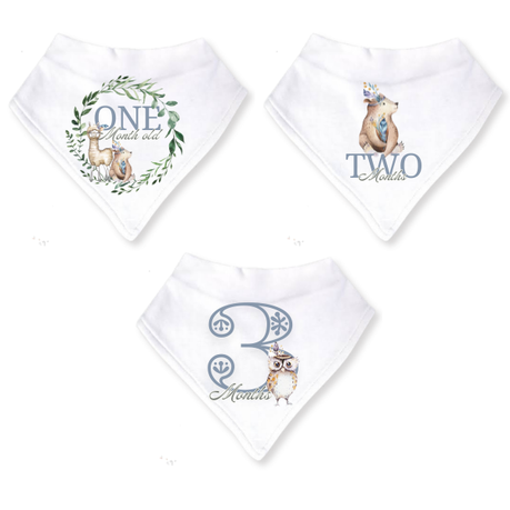 Baby 3 Month Milestone Bib Set | Gender Neutral Boho Wild One 1 | 3m | English