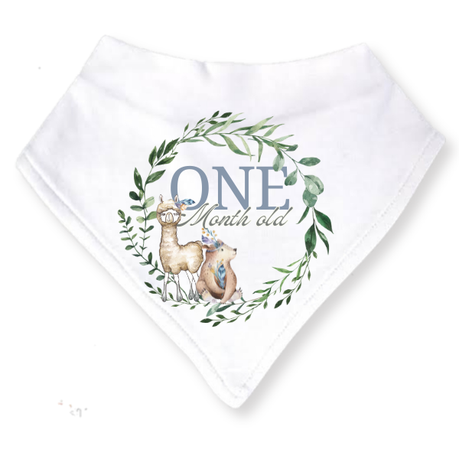 Baby 3 Month Milestone Bib Set | Gender Neutral Boho Wild One 1 | 3m | English - Image 2