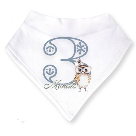 Baby 3 Month Milestone Bib Set | Gender Neutral Boho Wild One 1 | 3m | English - Image 4