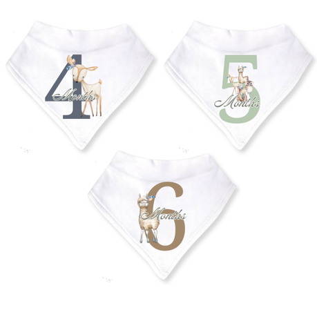 Baby 3 Month Milestone Bib Set | Gender Neutral Boho Wild One | 4 | 6m | English