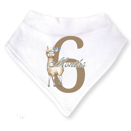 Baby 3 Month Milestone Bib Set | Gender Neutral Boho Wild One | 4 | 6m | English - Image 4