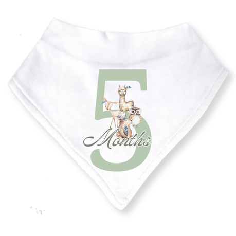 Baby 3 Month Milestone Bib Set | Gender Neutral Boho Wild One | 4 | 6m | English - Image 3