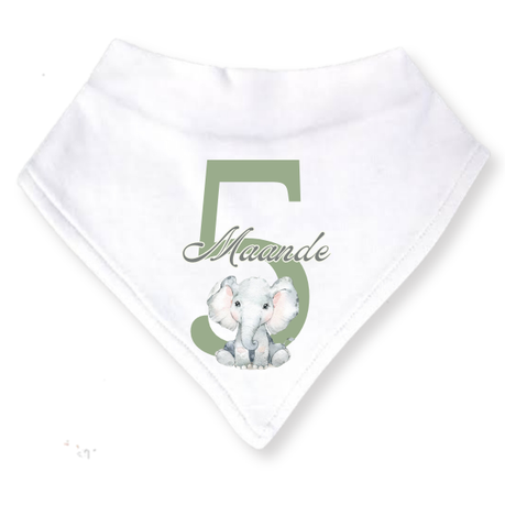 Baby 3 Month Milestone Bib Set | Gender Neutral Wild One | 4 | 6m | Afrikaans - Image 3