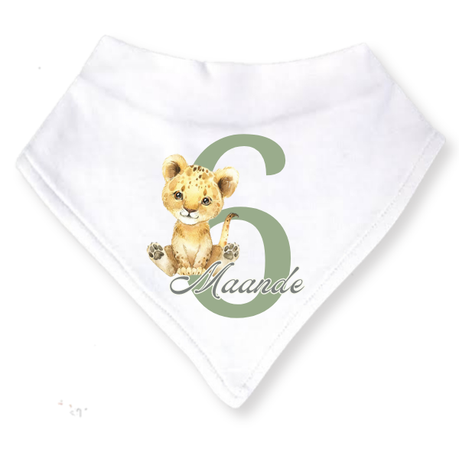 Baby 3 Month Milestone Bib Set | Gender Neutral Wild One | 4 | 6m | Afrikaans - Image 4