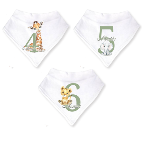 Baby 3 Month Milestone Bib Set | Gender Neutral Wild One | 6m | English
