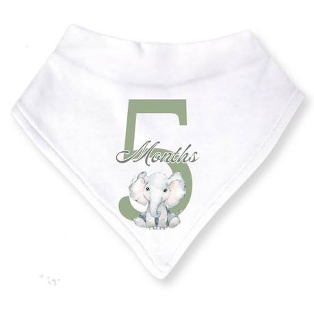 Baby 3 Month Milestone Bib Set | Gender Neutral Wild One | 6m | English - Image 3