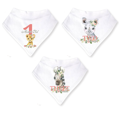 Baby 3 Month Milestone Bib Set | Girls Wild One | 1 | 3m | English