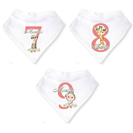 Baby 12 Month Milestone Bib Set | Girls Wild One | English - Image 4