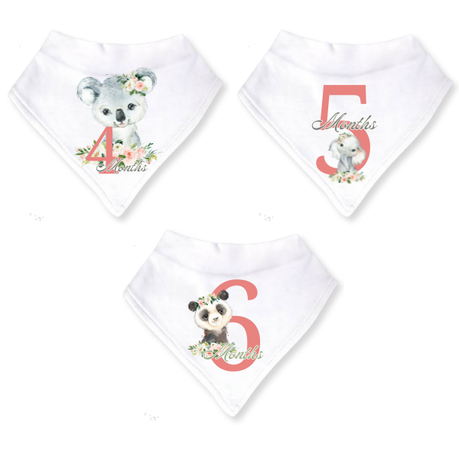 Baby 12 Month Milestone Bib Set | Girls Wild One | English - Image 3