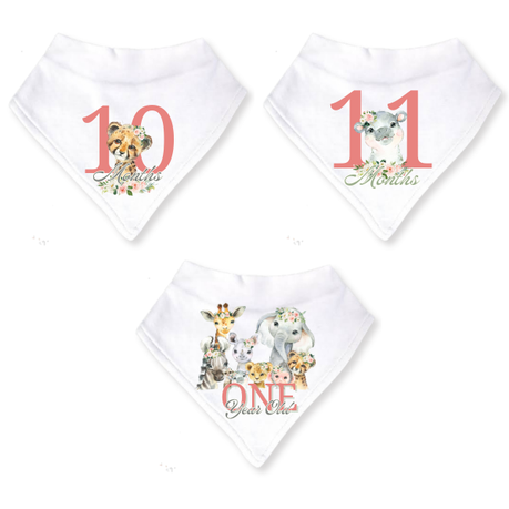 Baby 12 Month Milestone Bib Set | Girls Wild One | English - Image 5