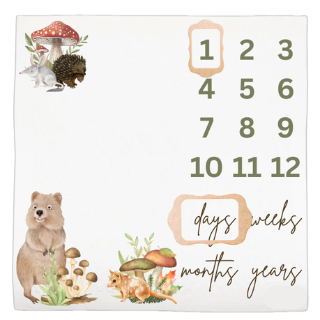 Baby Milestone Blanket Soft Memory Blanket | Apple of my eye
