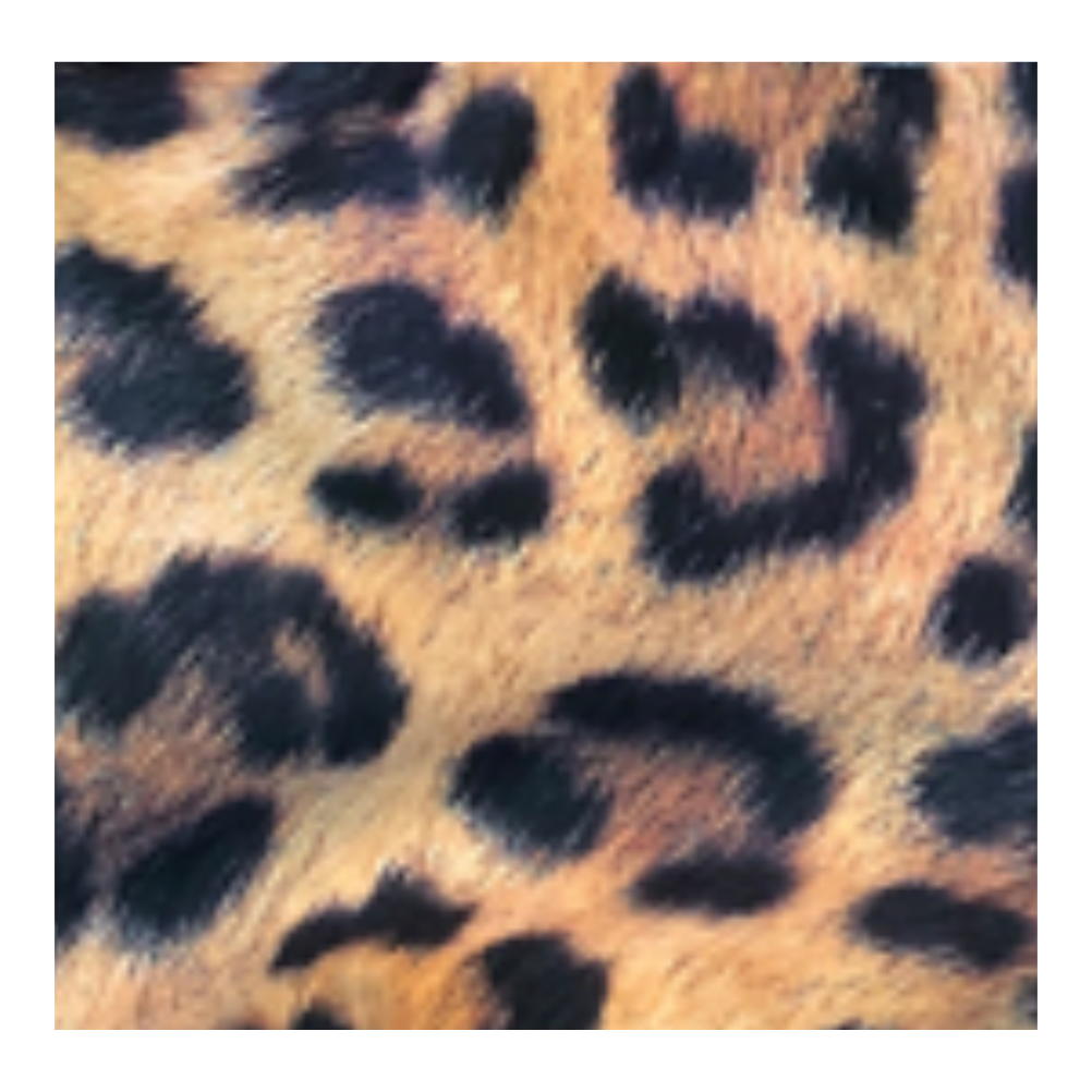 Baby Toddler Nappy Cover Bloomer | Bummie (2Pack) | Black & Leopard - Image 5
